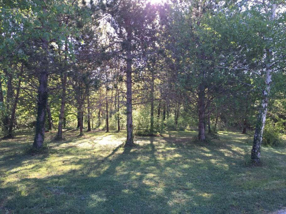 Grande Maison Avec Parc De 6000M2 Pompiey Exteriér fotografie